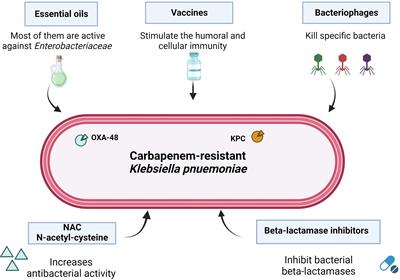 Editorial: Enterobacteriaceae antimicrobial agents and resistance: relationship with the therapeutic approach, volume II